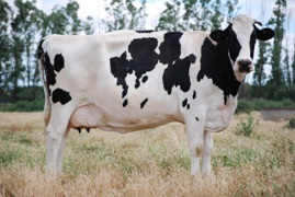 Shormar Rhonda Rae Ex 91